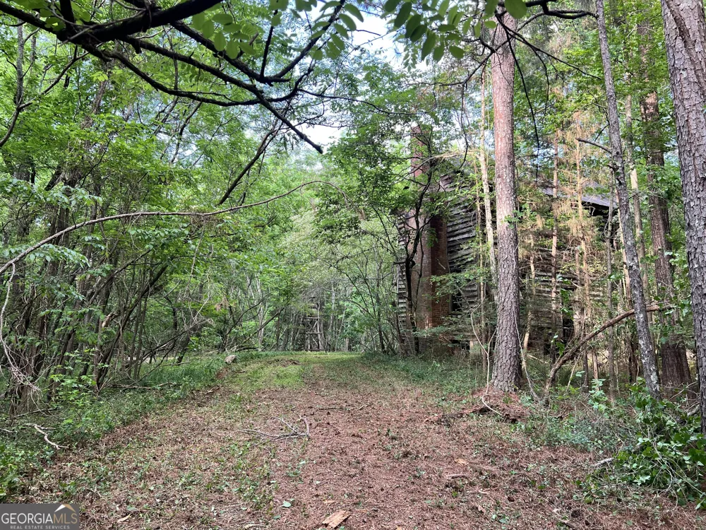 0 Lyneville RD Crawfordville, GA 30631