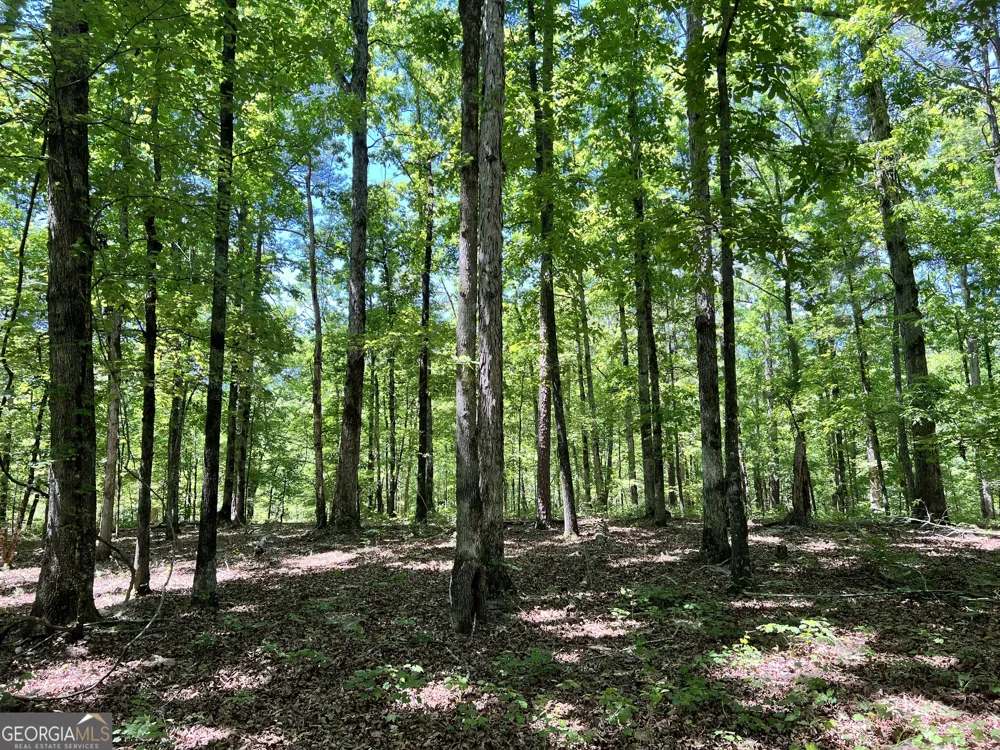 0 Lyneville RD Crawfordville, GA 30631