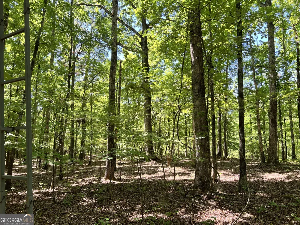 0 Lyneville RD Crawfordville, GA 30631