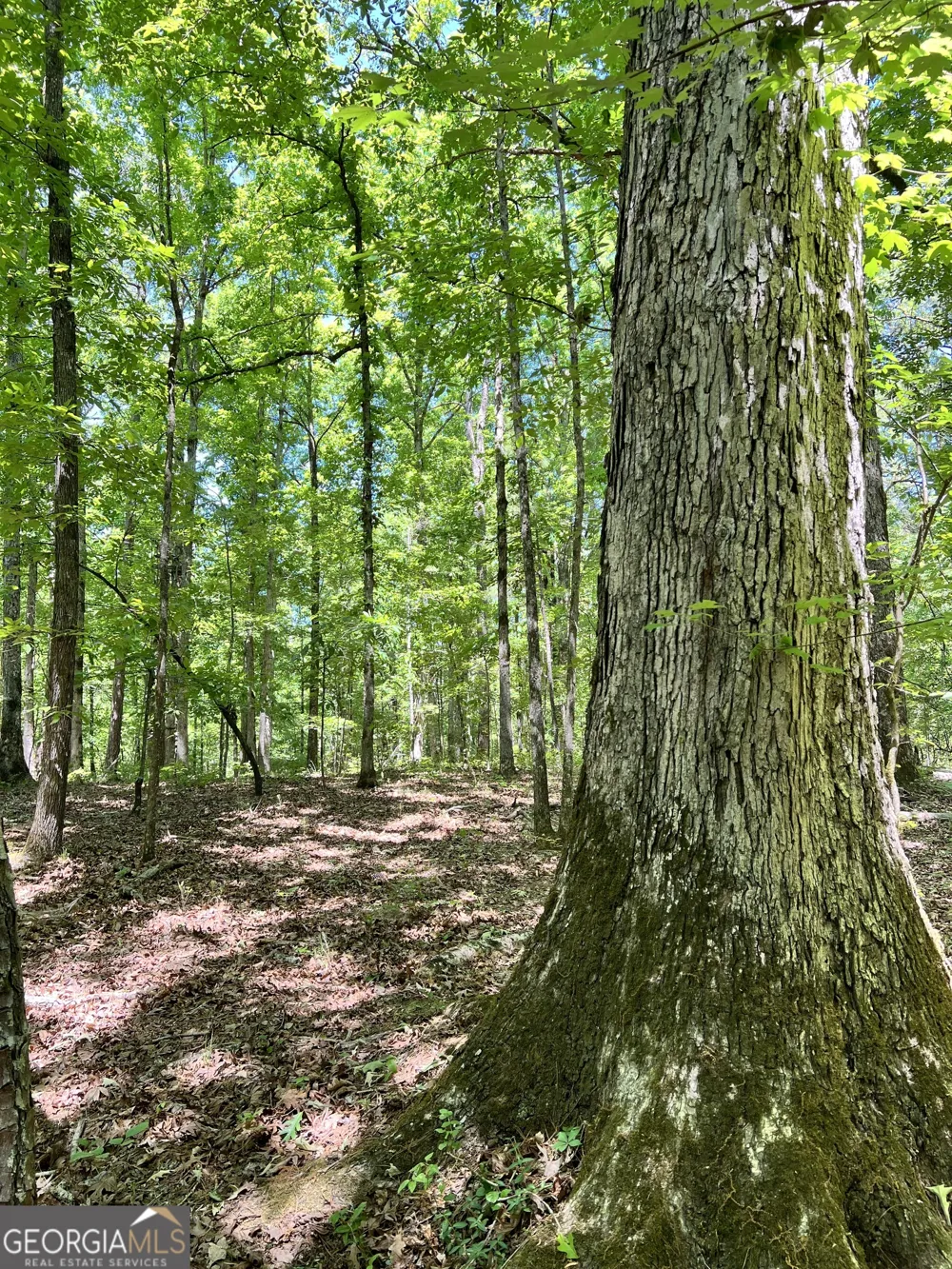 0 Lyneville RD Crawfordville, GA 30631