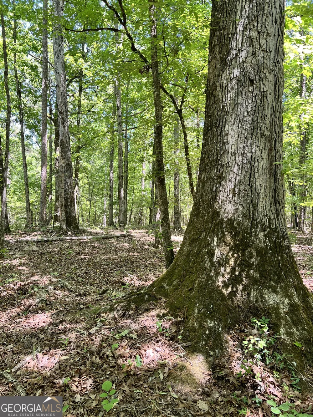 0 Lyneville RD Crawfordville, GA 30631