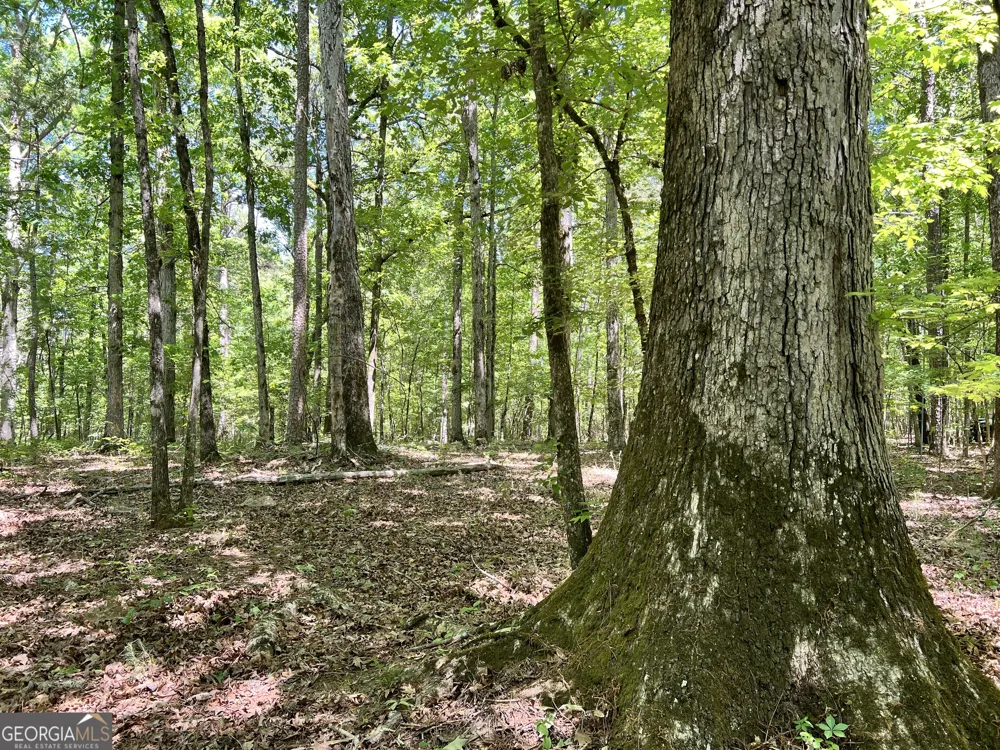 0 Lyneville RD Crawfordville, GA 30631