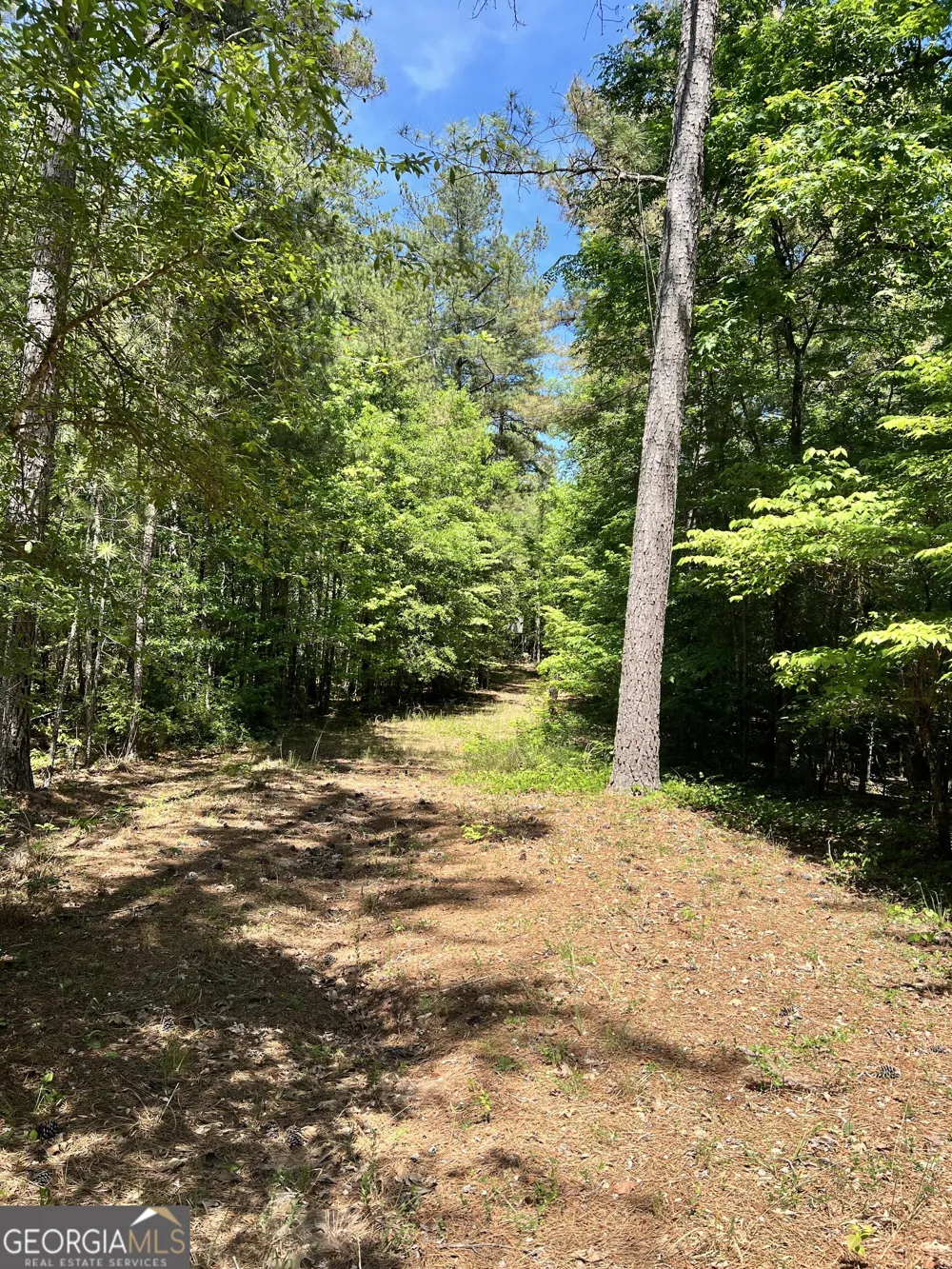 0 Lyneville RD Crawfordville, GA 30631