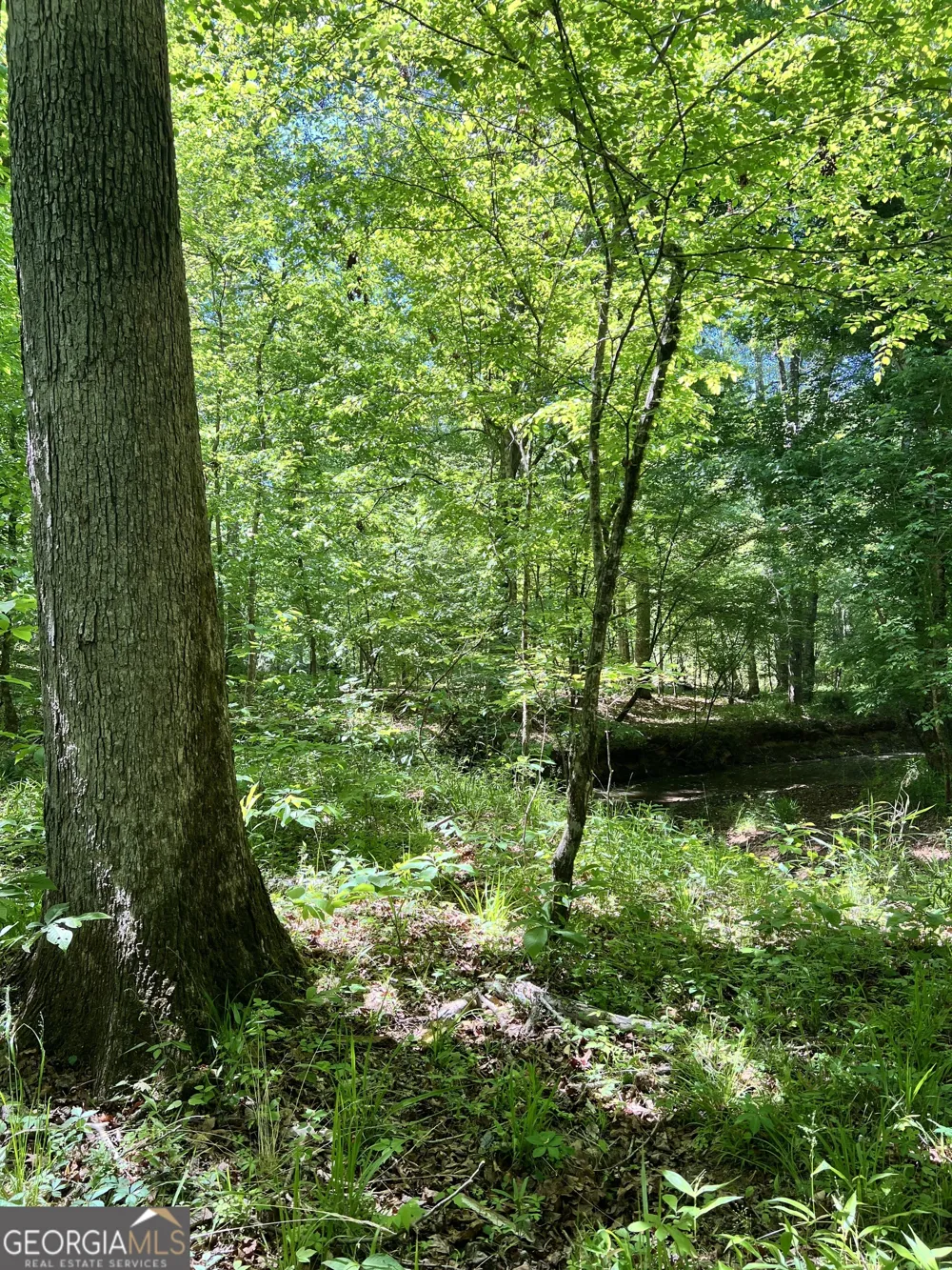 0 Lyneville RD Crawfordville, GA 30631