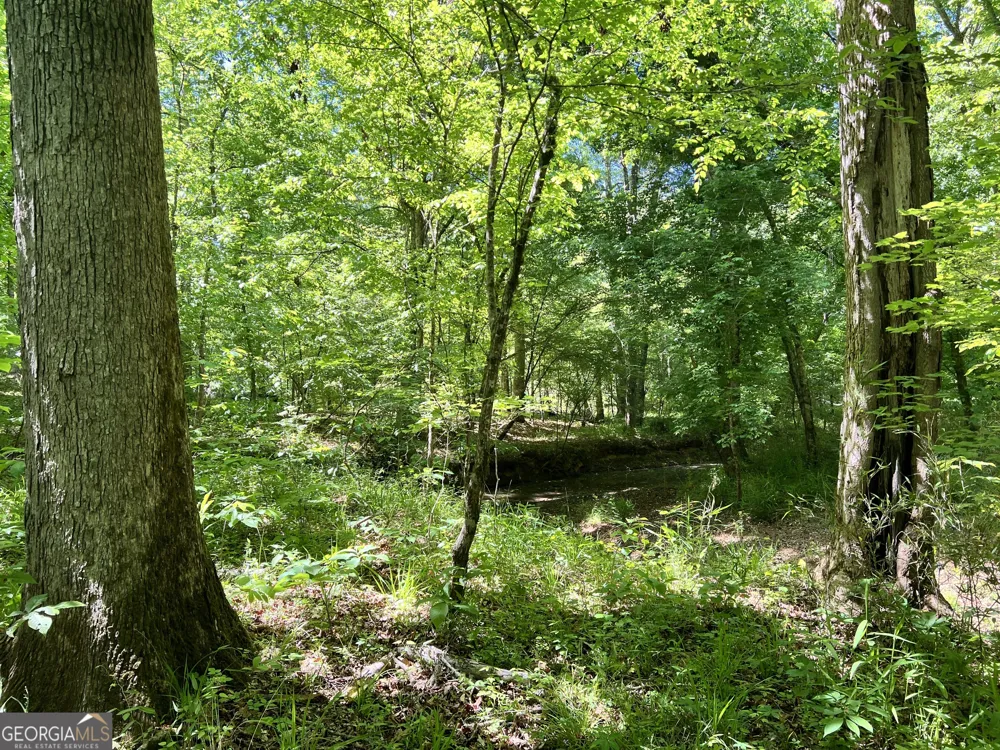 0 Lyneville RD Crawfordville, GA 30631