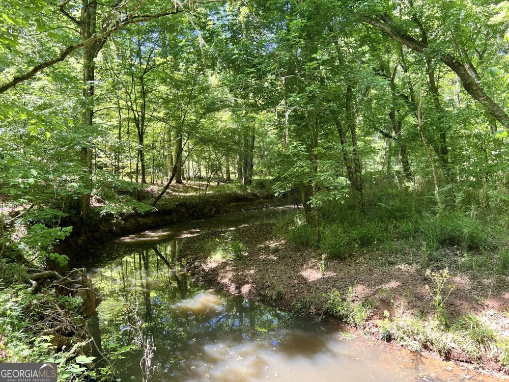 0 Lyneville RD Crawfordville, GA 30631
