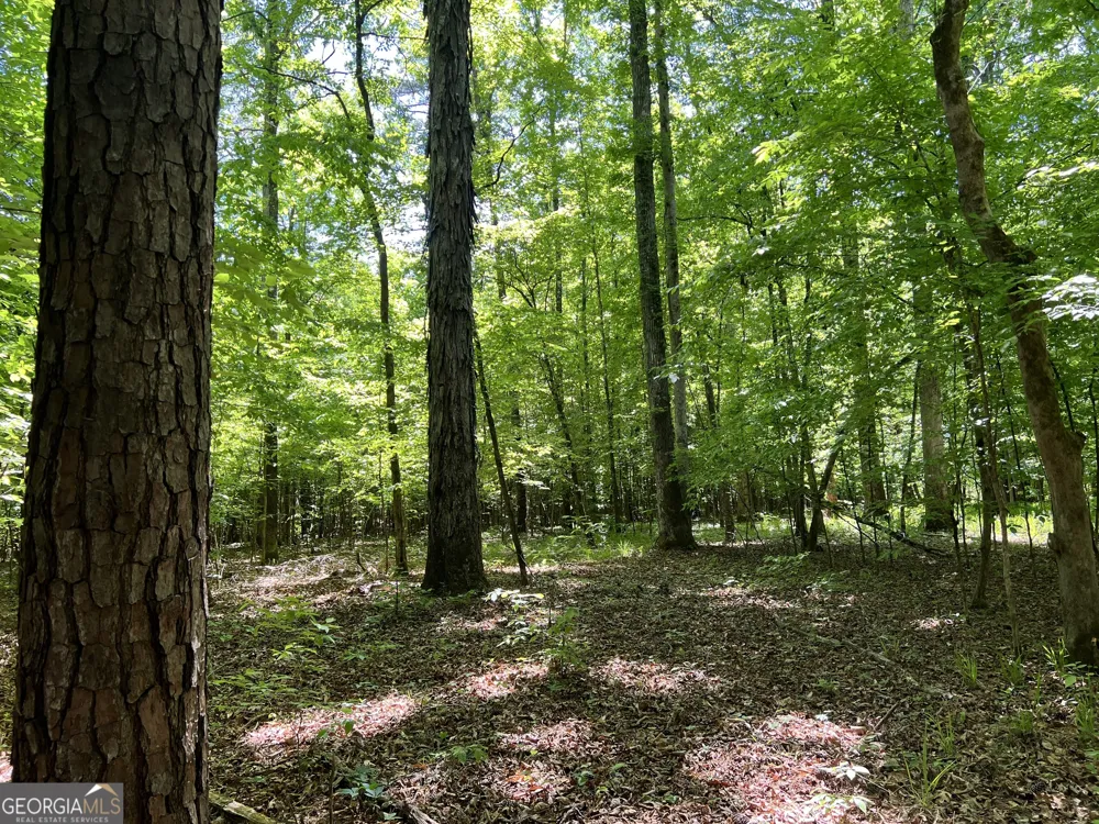 0 Lyneville RD Crawfordville, GA 30631