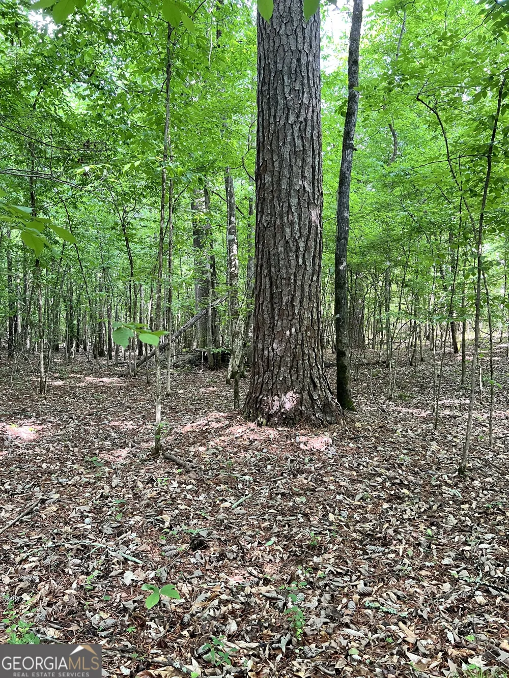0 Lyneville RD Crawfordville, GA 30631