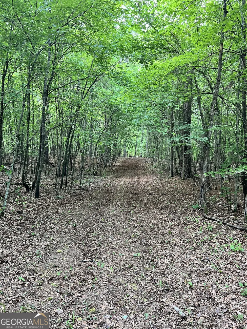 0 Lyneville RD Crawfordville, GA 30631