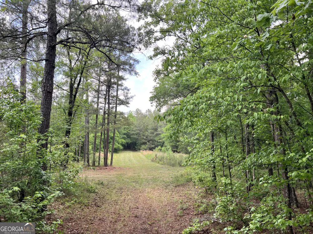 0 Lyneville RD Crawfordville, GA 30631