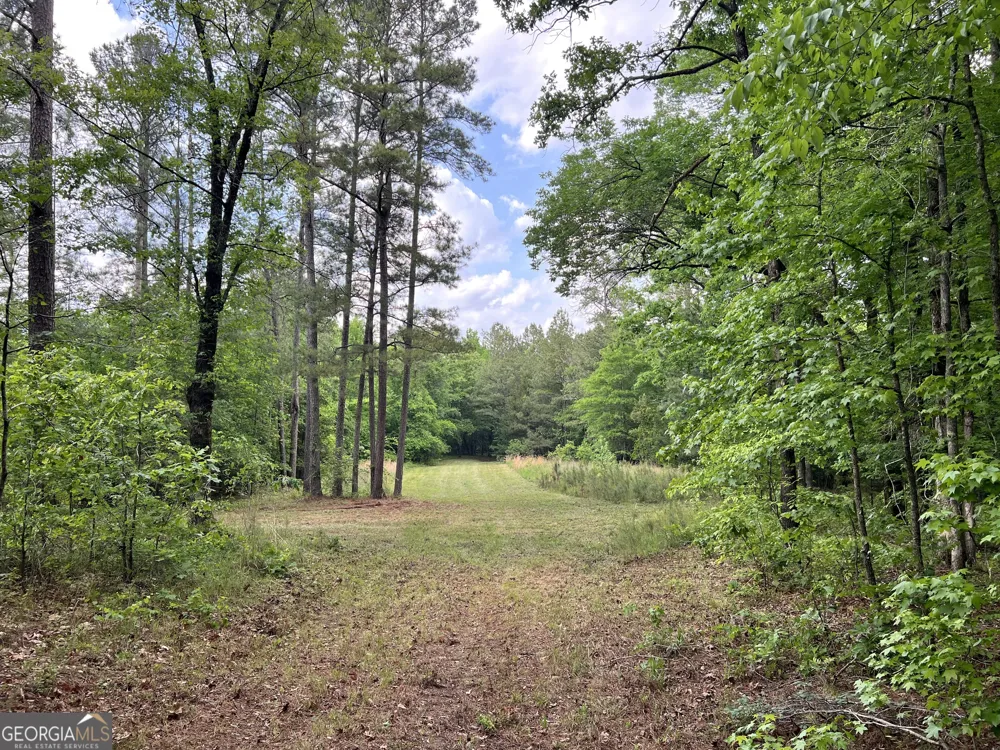 0 Lyneville RD Crawfordville, GA 30631