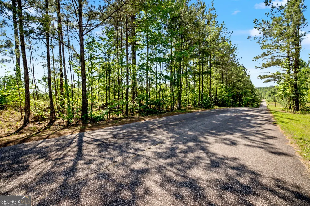 LOT 4A, 4B Windwood Estate DR Lanett, AL 36863
