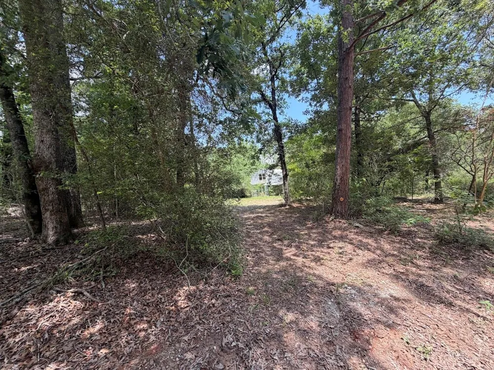161 Austin Road Trinity, TX 75862