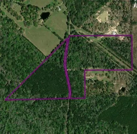 Old White Oak Road