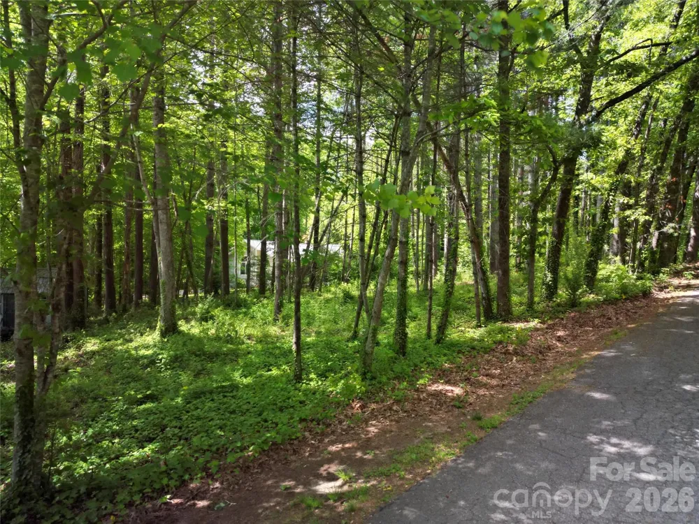 164 Country Lane Brevard, NC 28712
