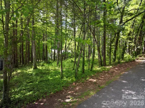 164 Country Lane
