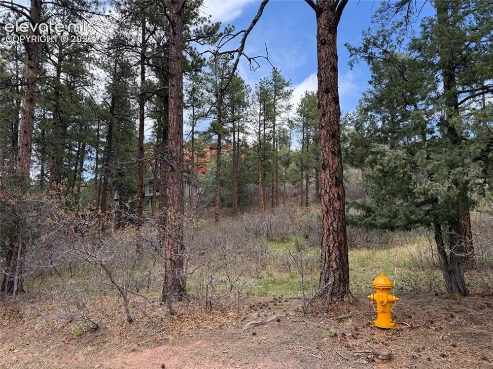 4885 Red Rock Drive Larkspur, CO 80118