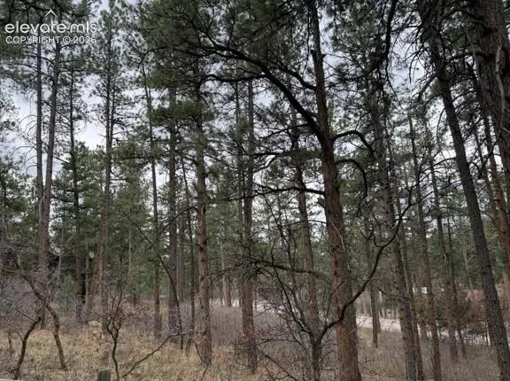 4885 Red Rock Drive Larkspur, CO 80118