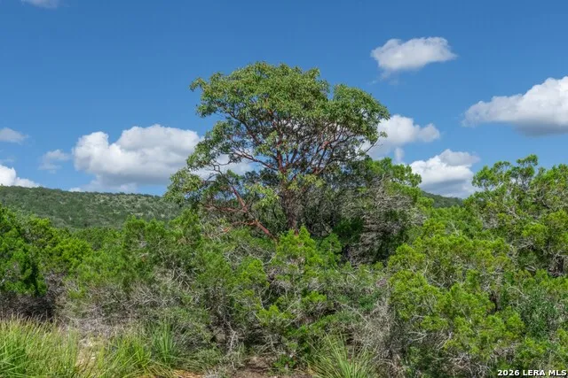 992 Bunk Road Utopia, TX 78884