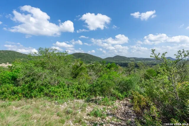 992 Bunk Road Utopia, TX 78884