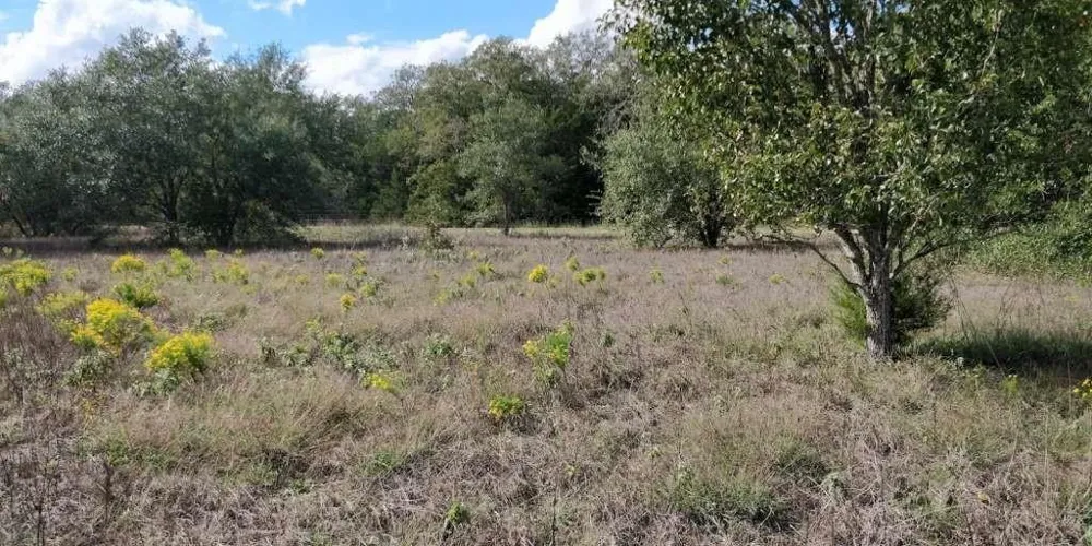 1700 Jackson Road La Grange, TX 78945