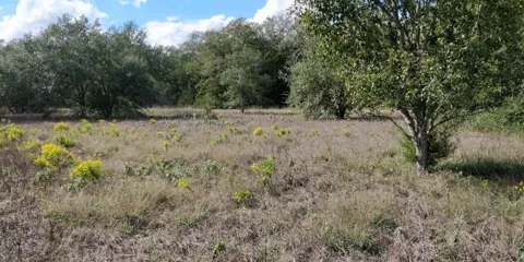 1700 Jackson Road