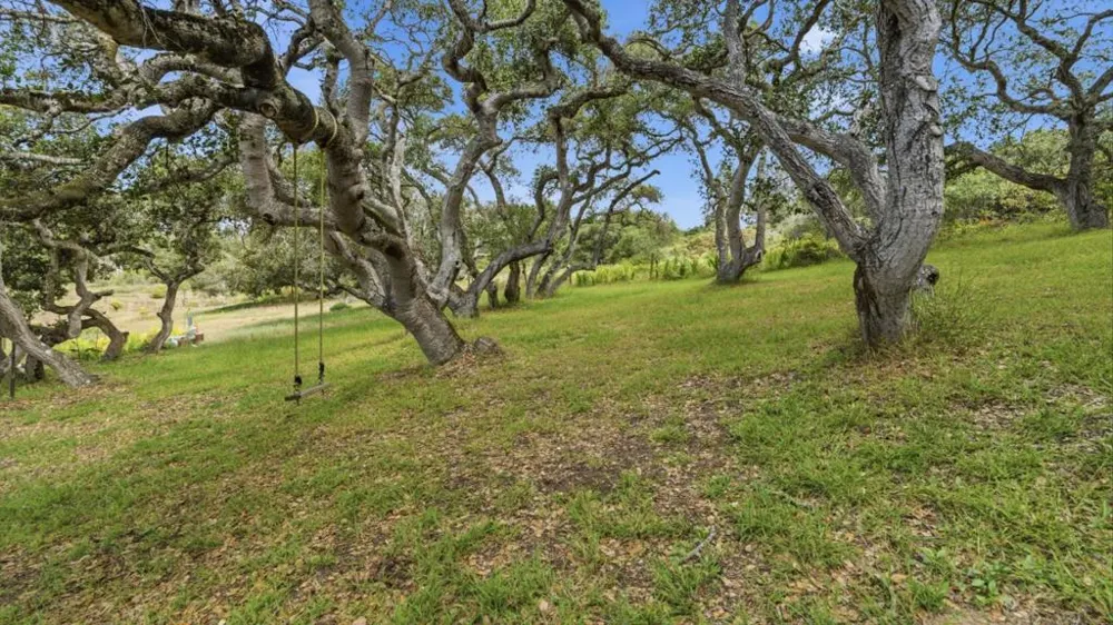 19269 Mallory Canyon Road #D Salinas, CA 93907
