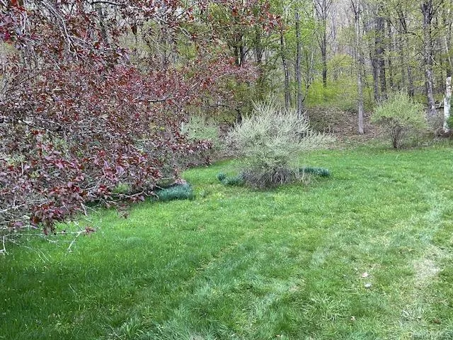 257 Cr 134 Fremont Center, NY 12736