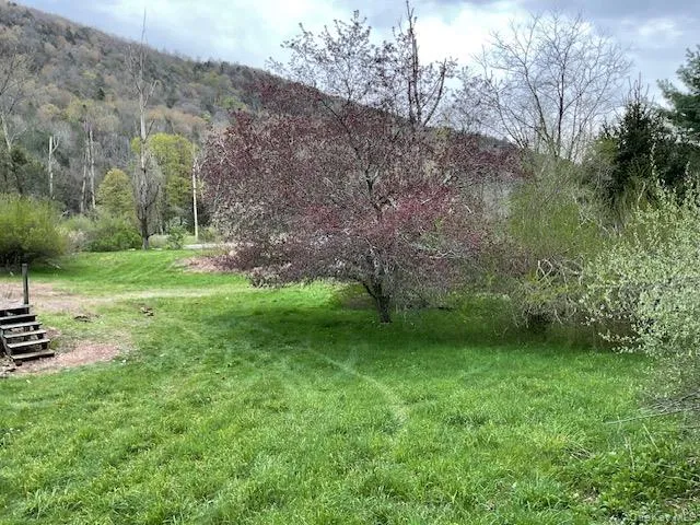 257 Cr 134 Fremont Center, NY 12736