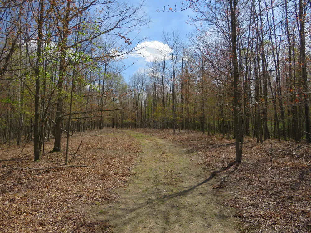 Chippewa Road Mount Pleasant, MI 48858
