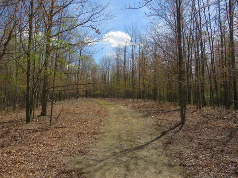 Chippewa Road