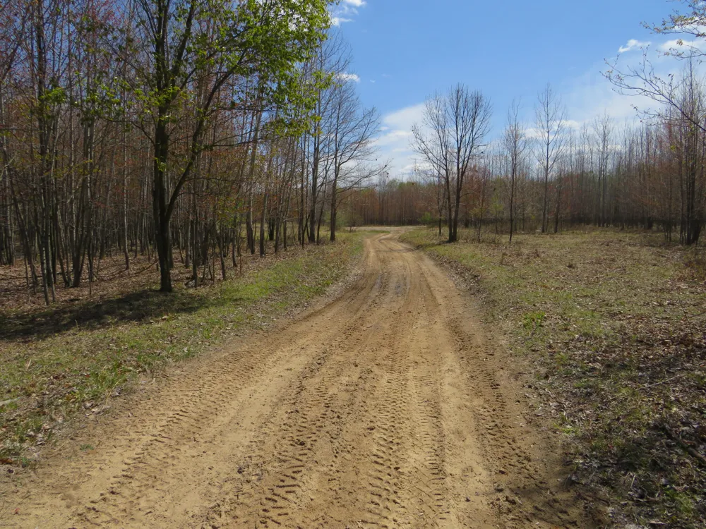 Chippewa Road Mount Pleasant, MI 48858