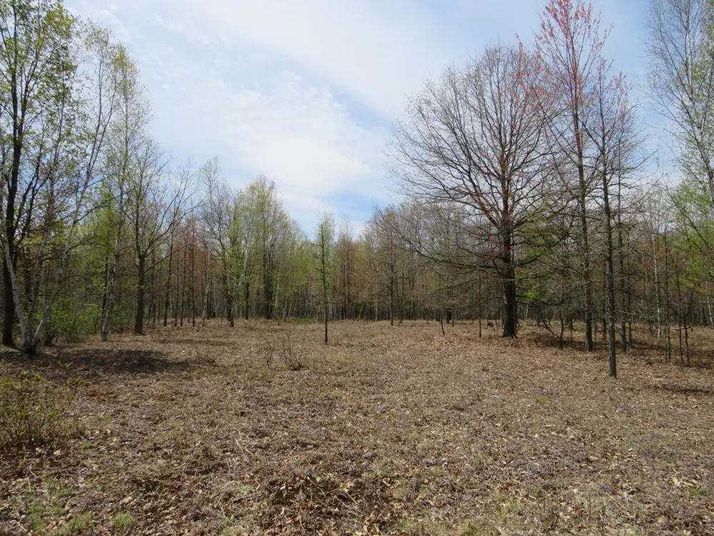 Chippewa Road Mount Pleasant, MI 48858