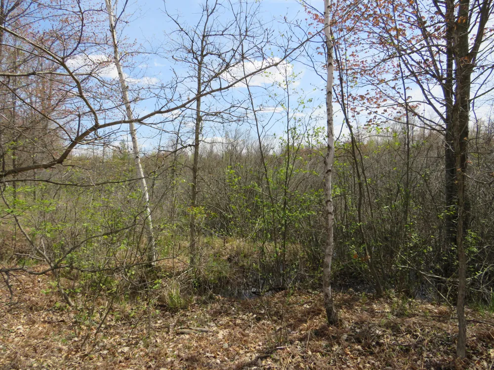 Chippewa Road Mount Pleasant, MI 48858