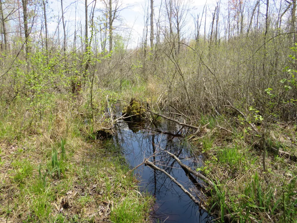 Chippewa Road Mount Pleasant, MI 48858