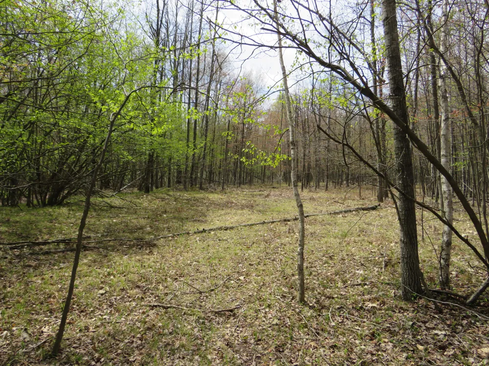 Chippewa Road Mount Pleasant, MI 48858