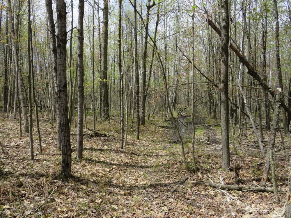 Chippewa Road Mount Pleasant, MI 48858