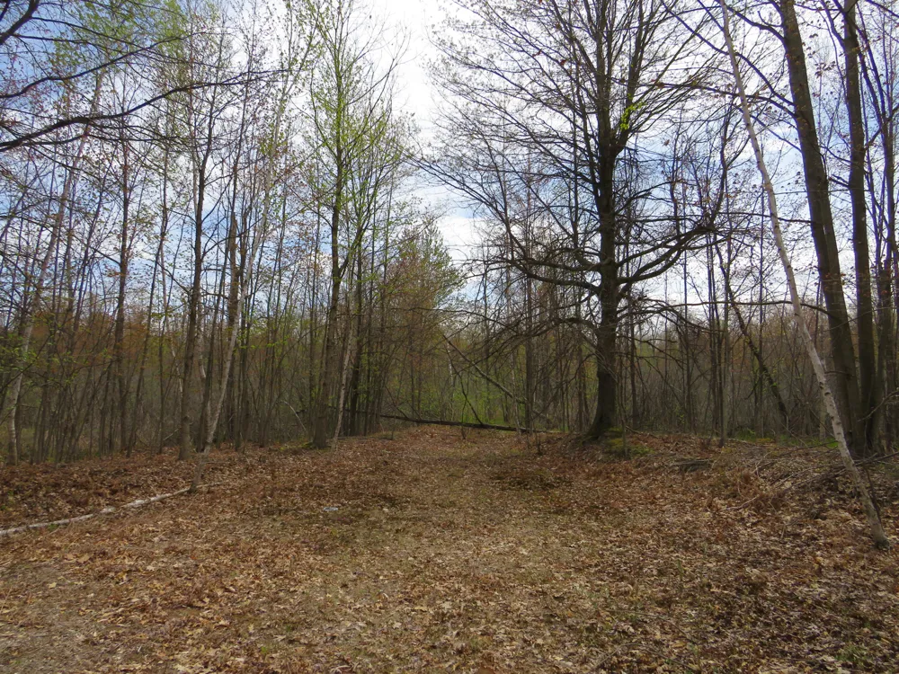 Chippewa Road Mount Pleasant, MI 48858