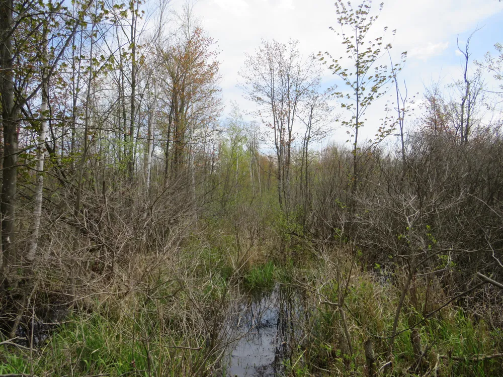 Chippewa Road Mount Pleasant, MI 48858