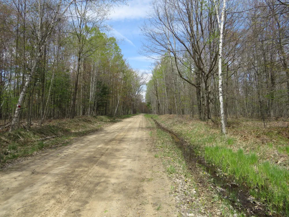Chippewa Road Mount Pleasant, MI 48858