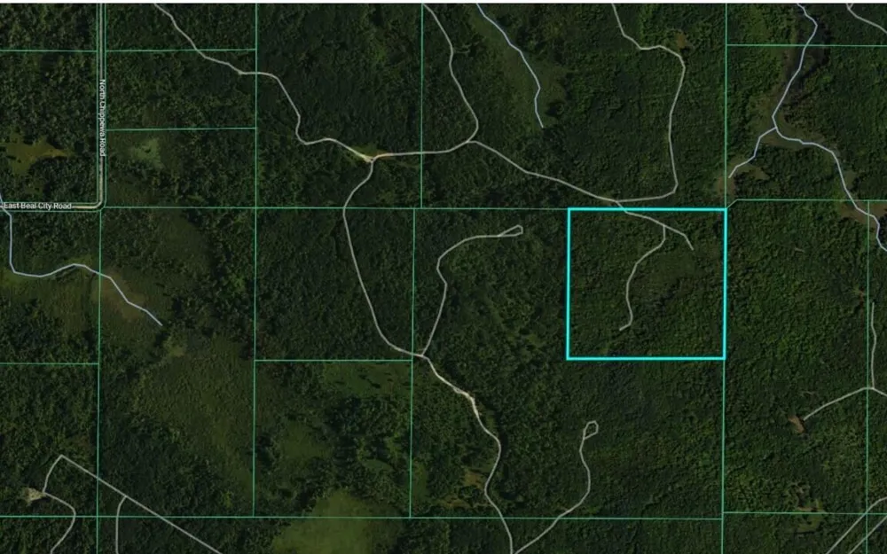 Chippewa Road Mount Pleasant, MI 48858