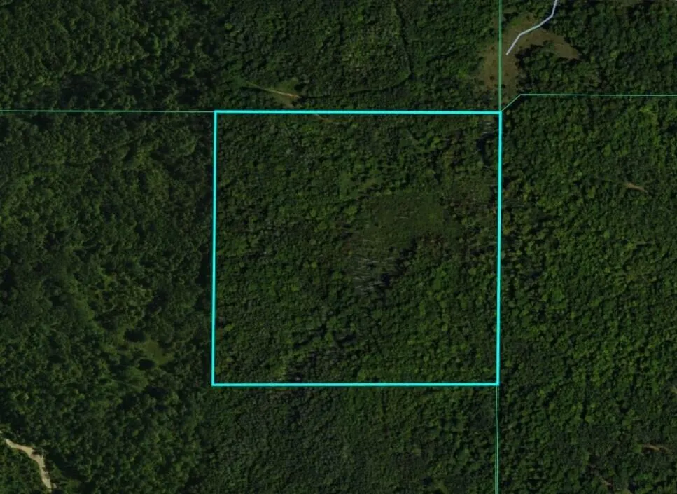 Chippewa Road Mount Pleasant, MI 48858