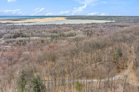 Silver Vista