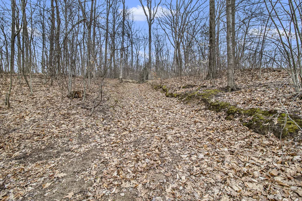 Silver Vista Mears, MI 49436