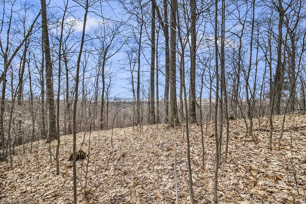 Silver Vista Mears, MI 49436