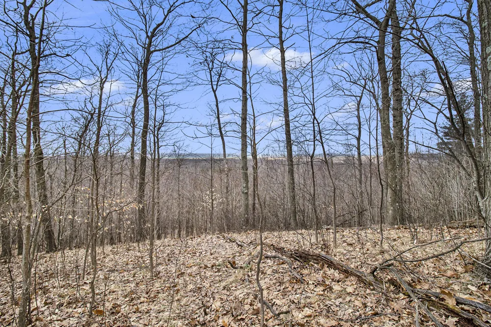 Silver Vista Mears, MI 49436