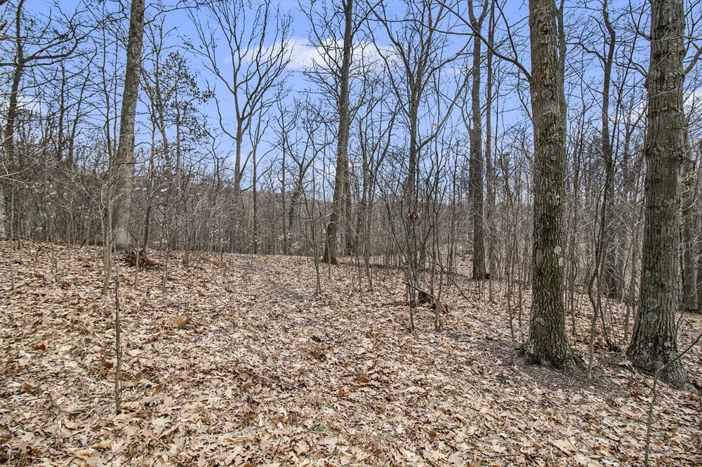 Silver Vista Mears, MI 49436