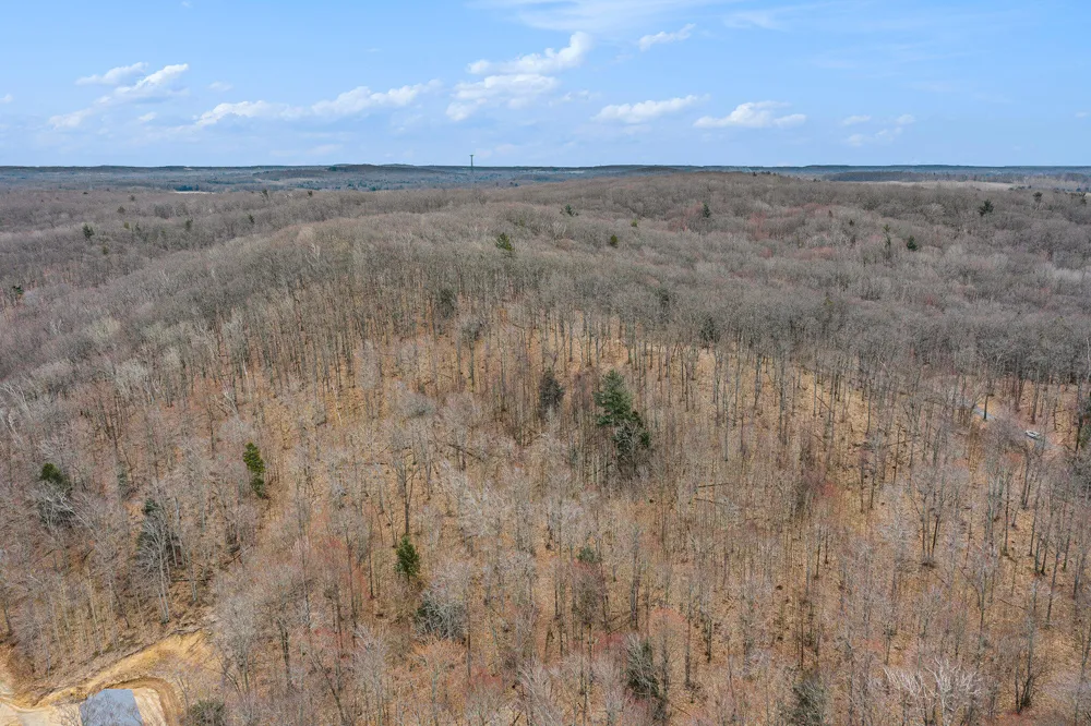 Silver Vista Mears, MI 49436
