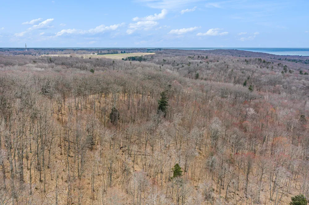 Silver Vista Mears, MI 49436