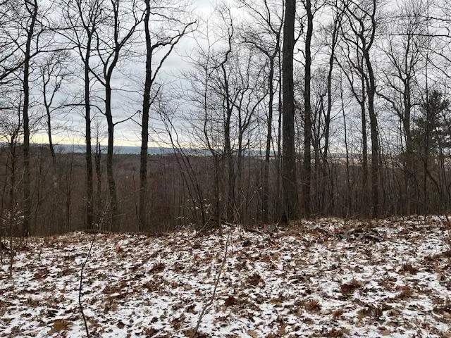 Silver Vista Mears, MI 49436